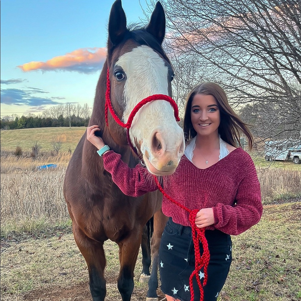 Meet your Posher, Molly